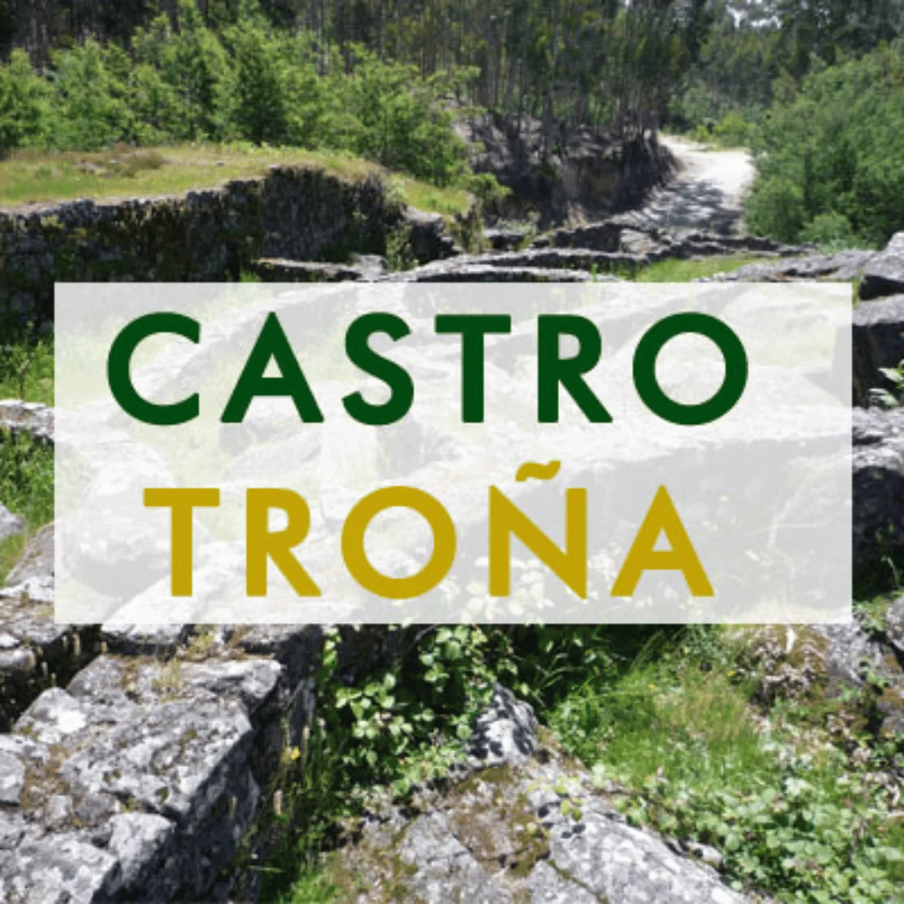 castro-trona-casa-das-pias